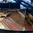 1907 Mason & Hamlin fancy Model A grand piano - Grand Pianos